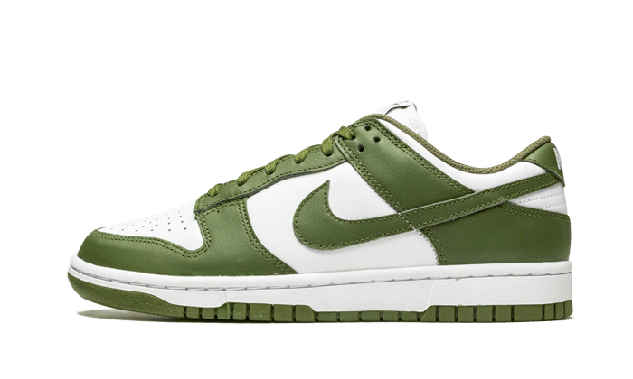 Dunk Low Medium Olive DD1503-120 - Footisking