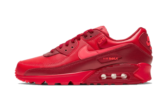 Air Max 90 Chi-City Special DH0146-600 - Footisking