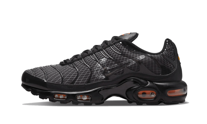 Air Max Plus 3D Swoosh Black DR0138-001 - Footisking